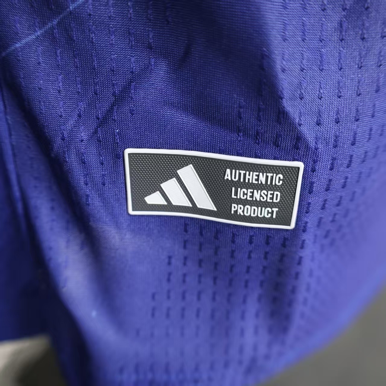 Japanese National Team