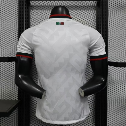 2026 World Cup Mexico Jersey (Away)