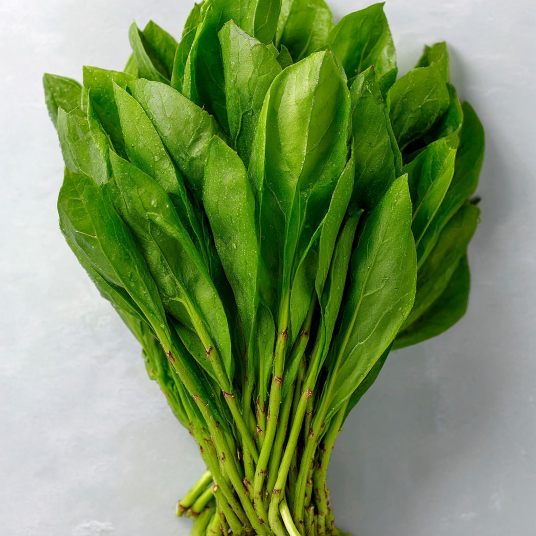 Spinach Seeds (Spinacia oleracea) – Green Leaf Vegetable – 50 Count-Gmhome Rentals