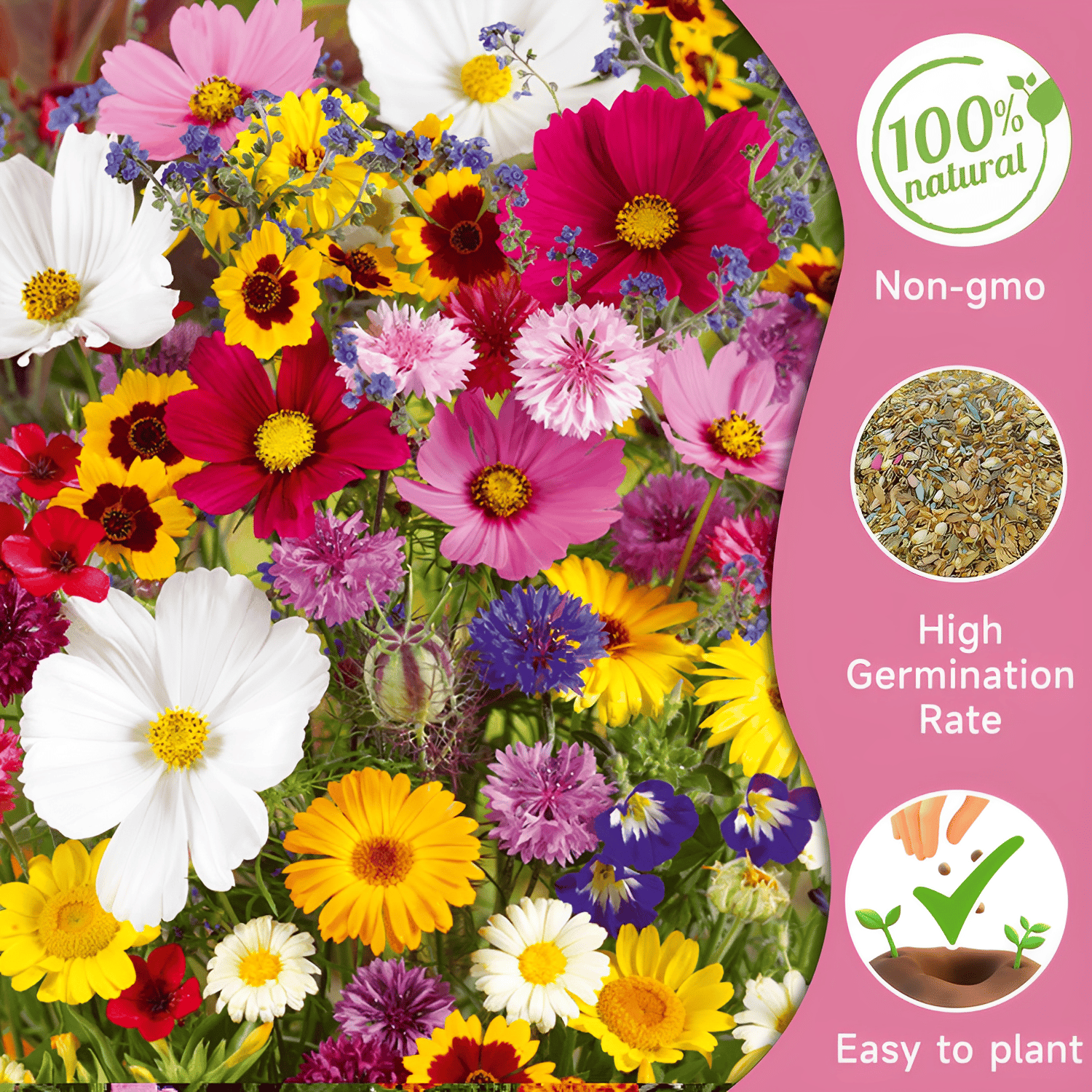 🌱Premium Hardy Mixed Perennial Flowers Seeds | Over 60 Varieties | Perfect for Beginners