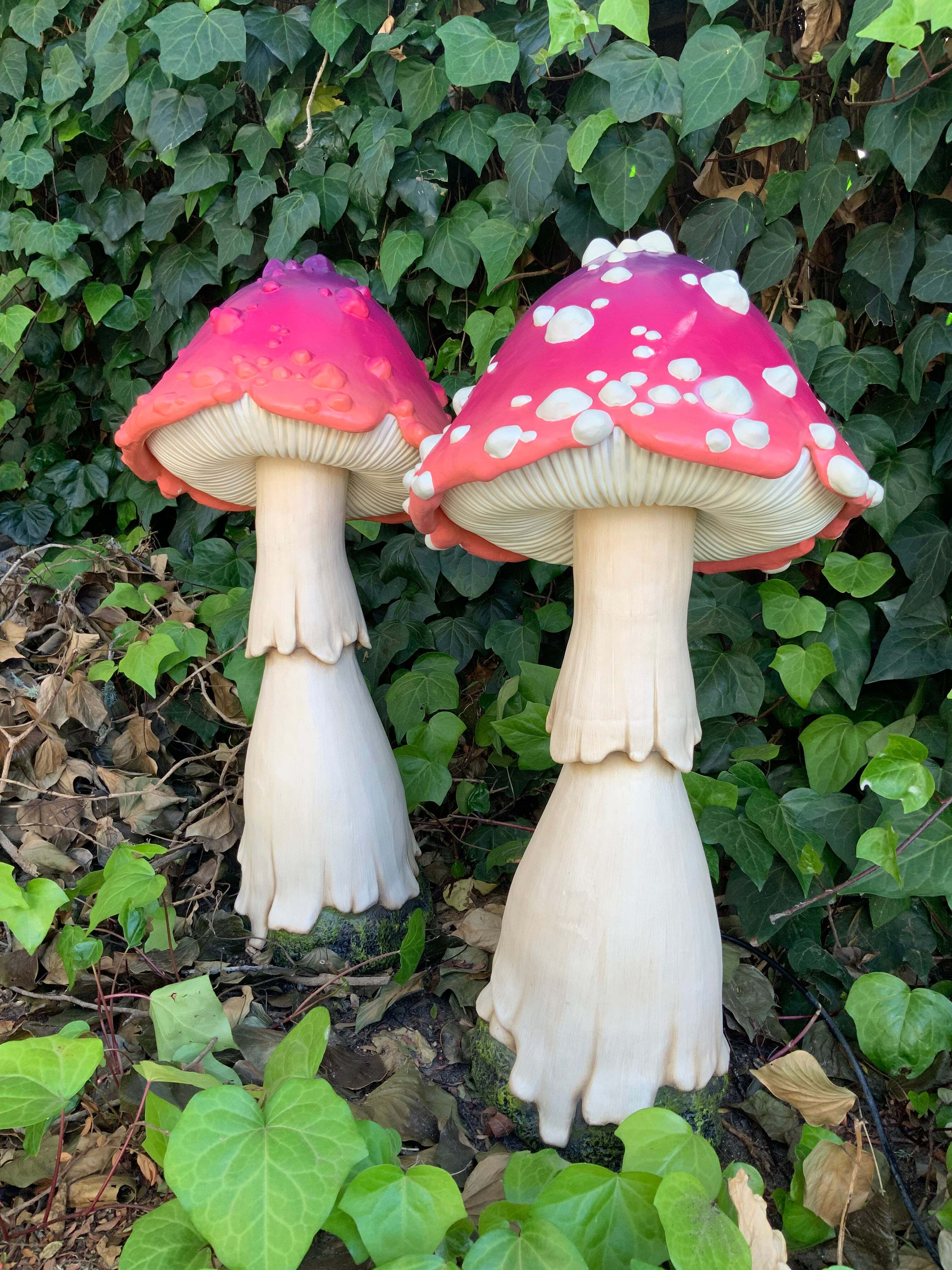 🔥Last Day 70%OFF🔥Glowing Mushroom