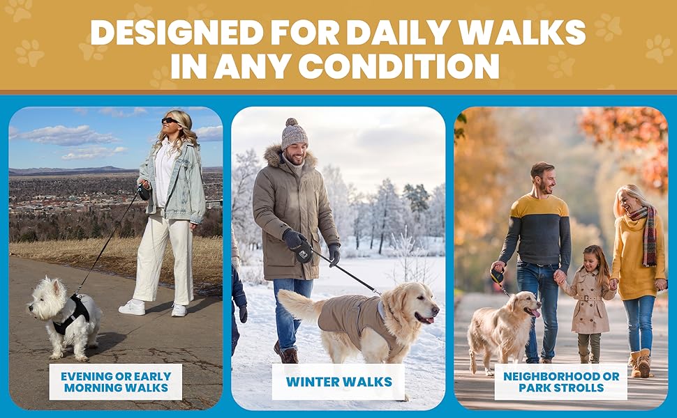 heated dog retractable leash