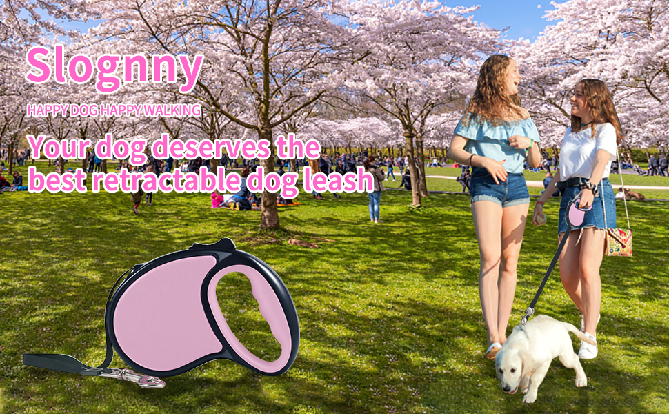 retractable dog leash
