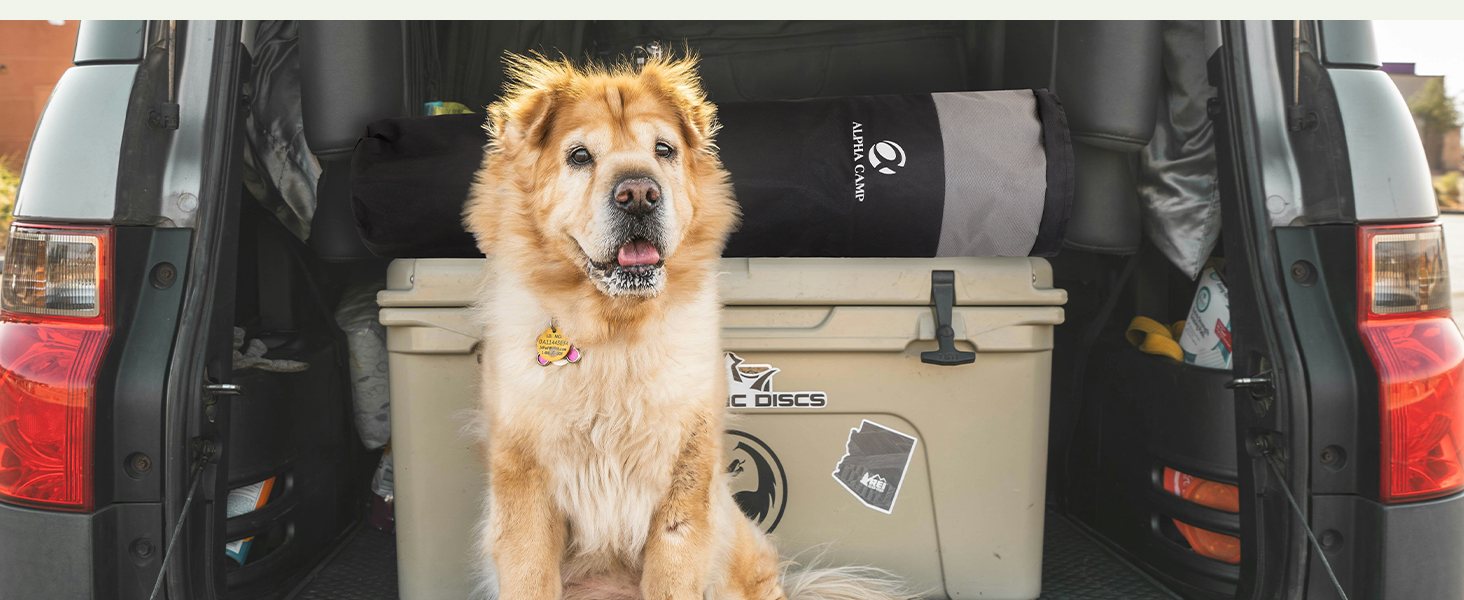 camp chairs for adults