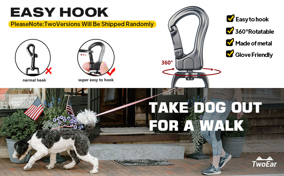 dog leash