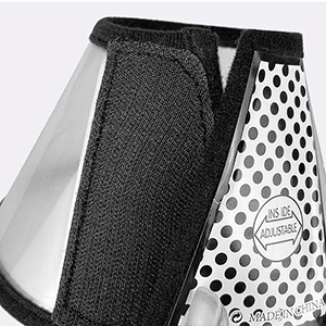 dog recovery collar 4