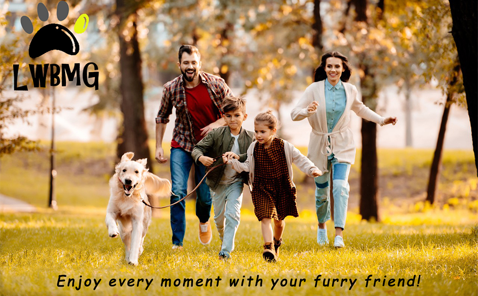 LWBMG leather dog leash