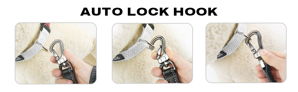 AUTO LOCK HOOK