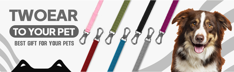 leash for dogs