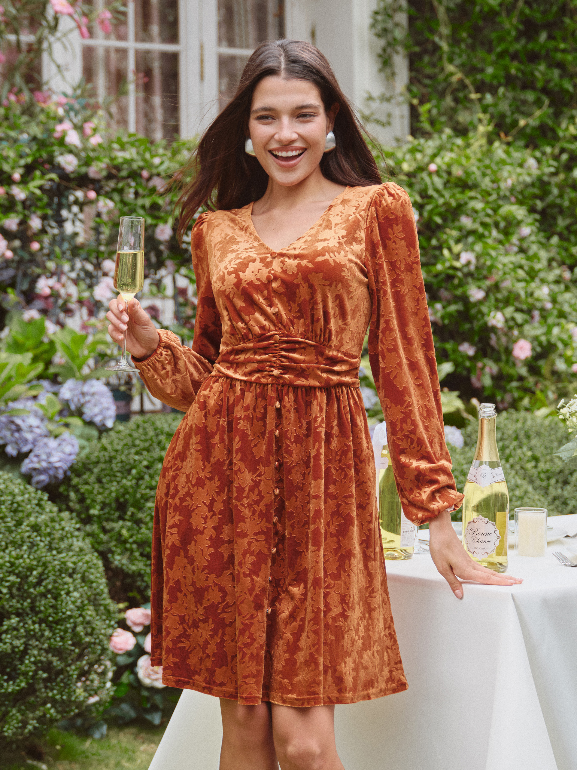 Gorgeous Burnout Velvet Long Sleeve A-Line Mini Dress