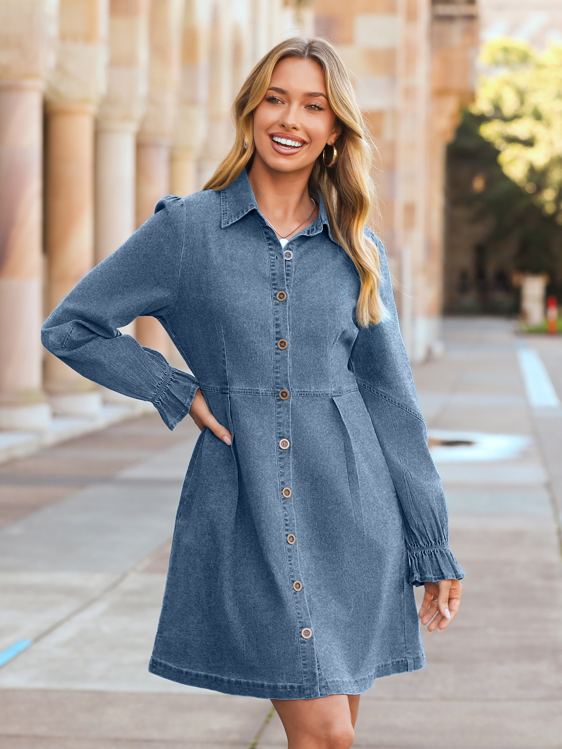 Chambray Lantern Sleeve Button Front Denim Mini Dress