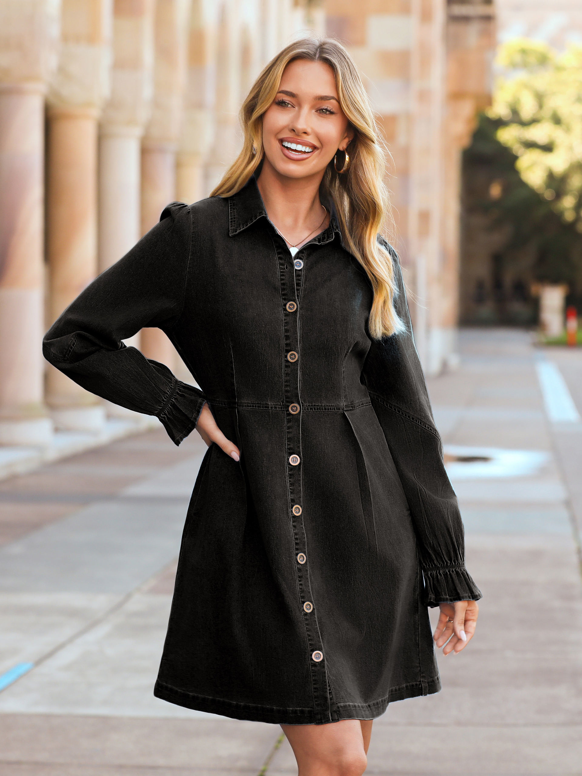 Chambray Lantern Sleeve Button Front Denim Mini Dress