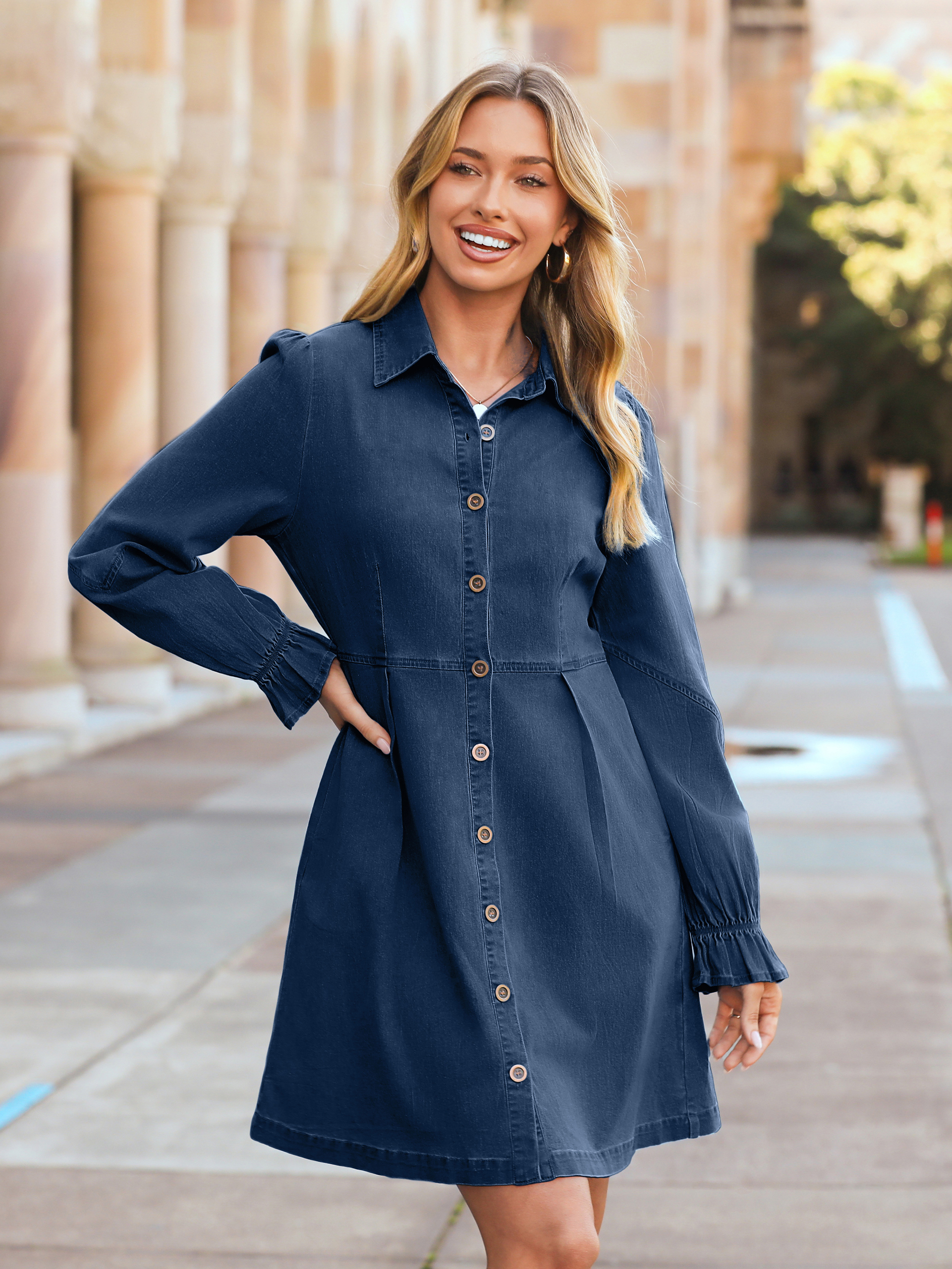 Chambray Lantern Sleeve Button Front Denim Mini Dress