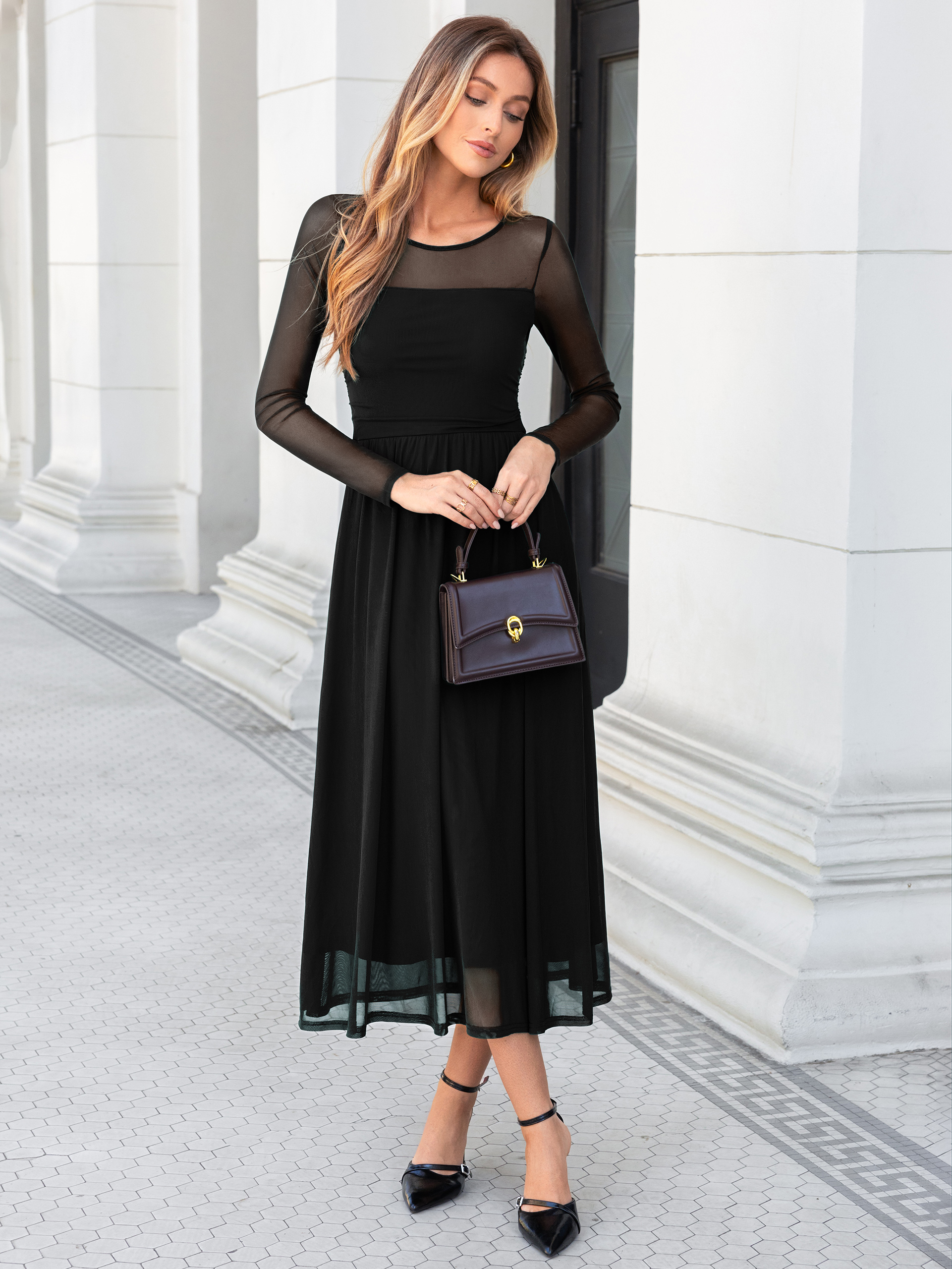 Long Sleeve Sheer Mesh Fit and Flare Maxi Dress