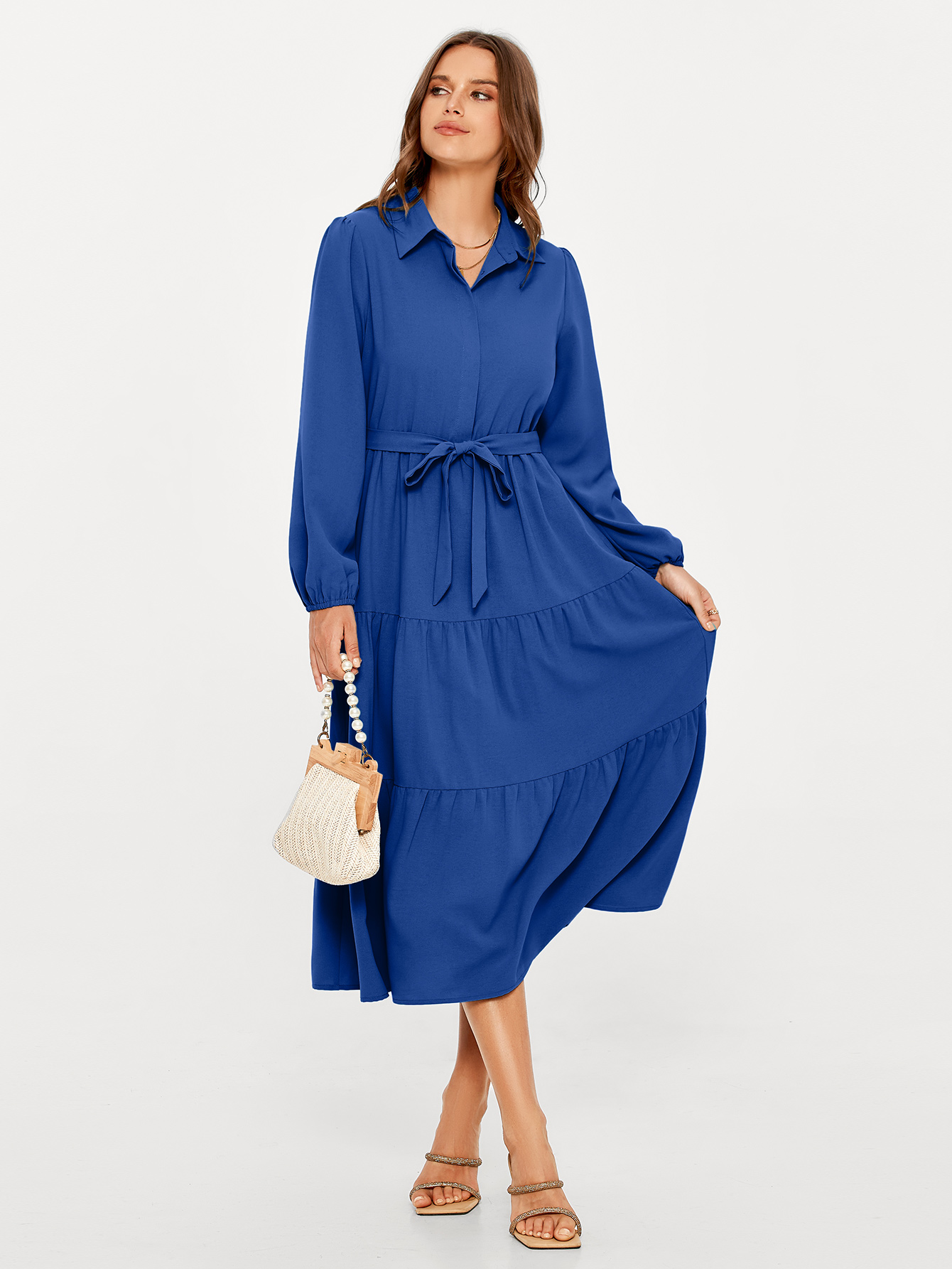 Button Up Lantern Sleeve Flowy Maxi Dress