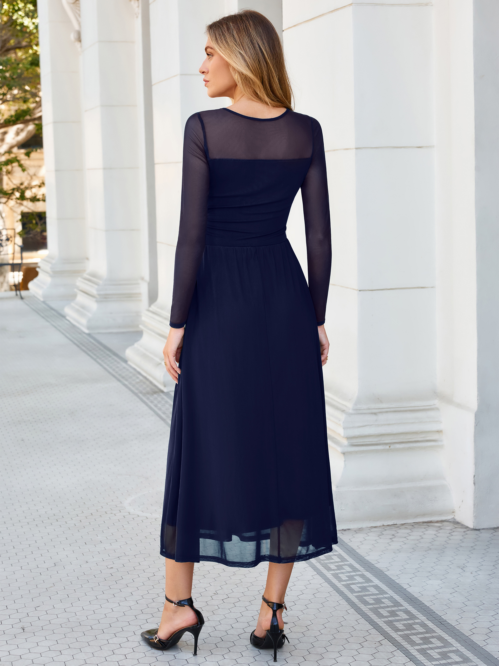 Long Sleeve Sheer Mesh Fit and Flare Maxi Dress