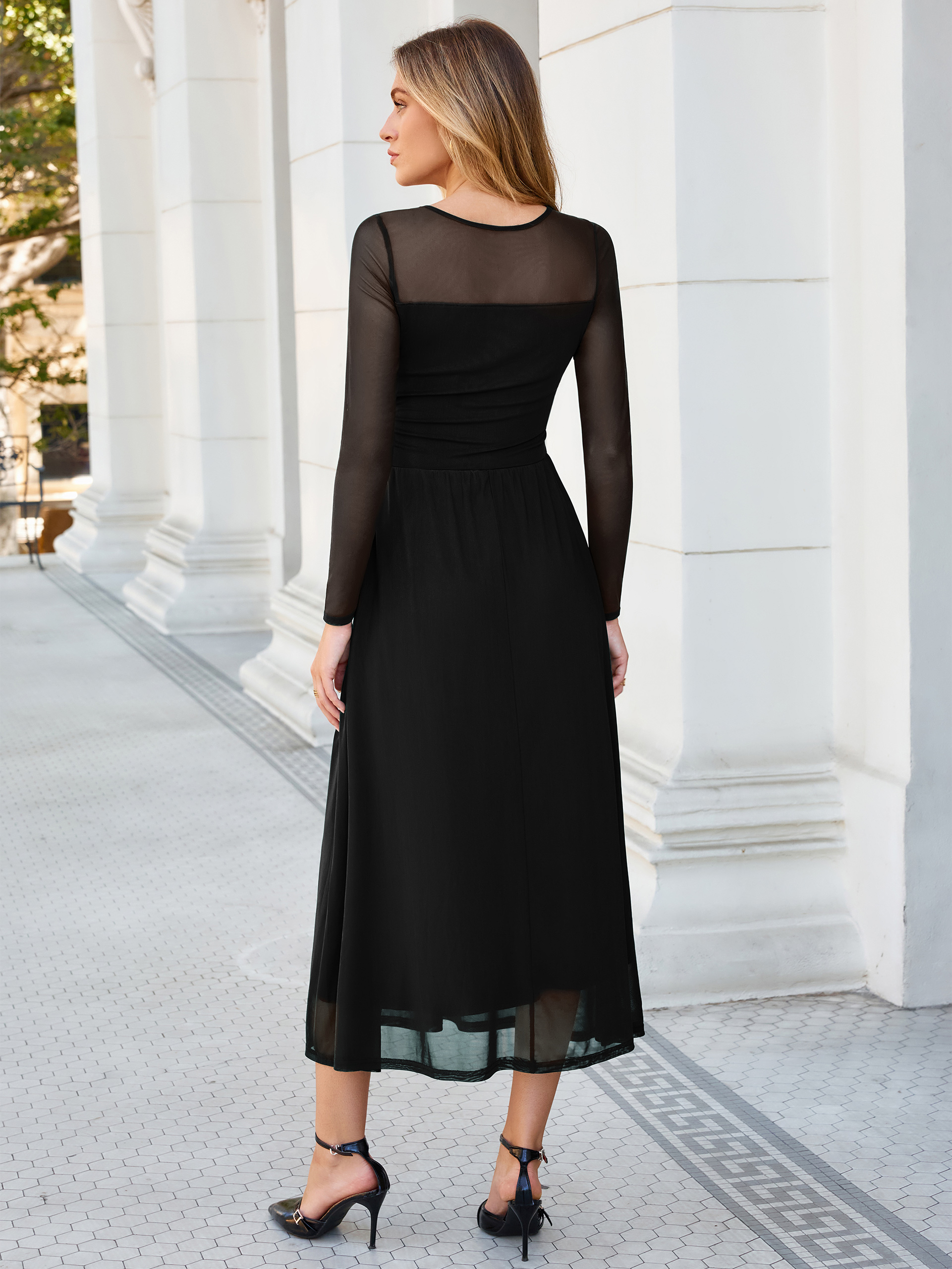 Long Sleeve Sheer Mesh Fit and Flare Maxi Dress
