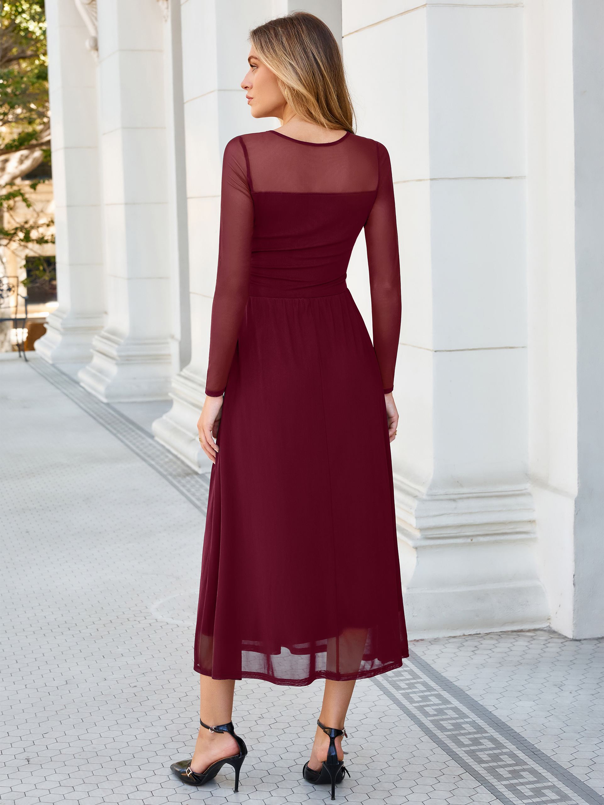 Long Sleeve Sheer Mesh Fit and Flare Maxi Dress