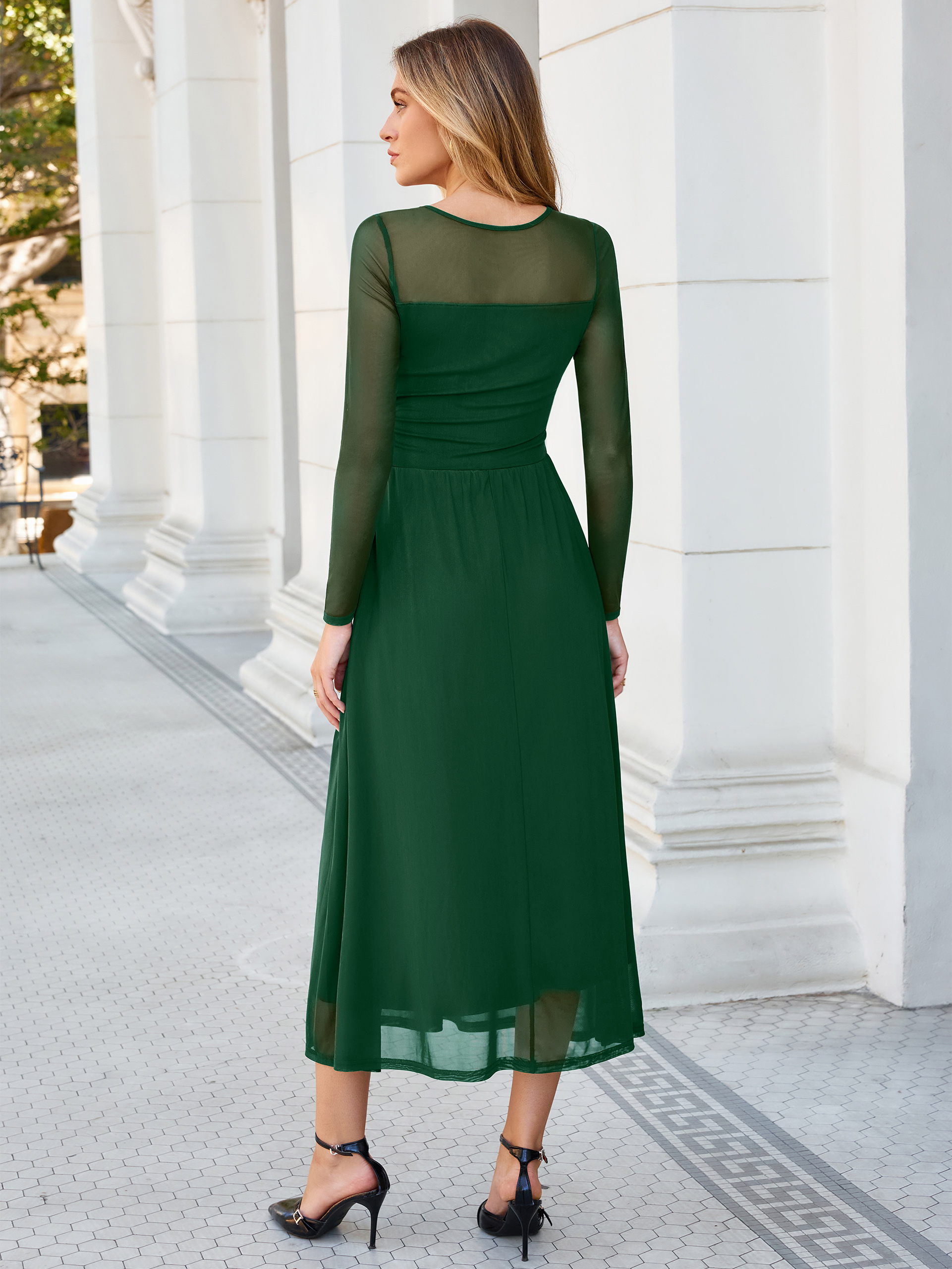 Long Sleeve Sheer Mesh Fit and Flare Maxi Dress