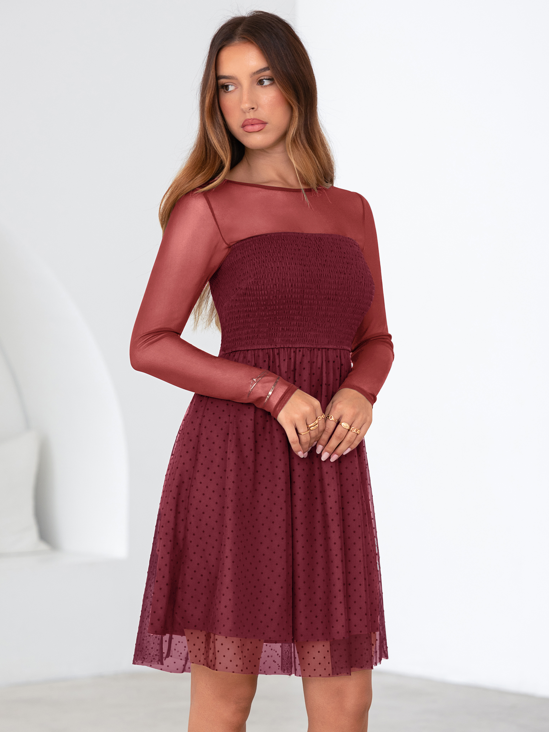 Long Sleeve Polka Dot Mesh Smocked Mini Dress