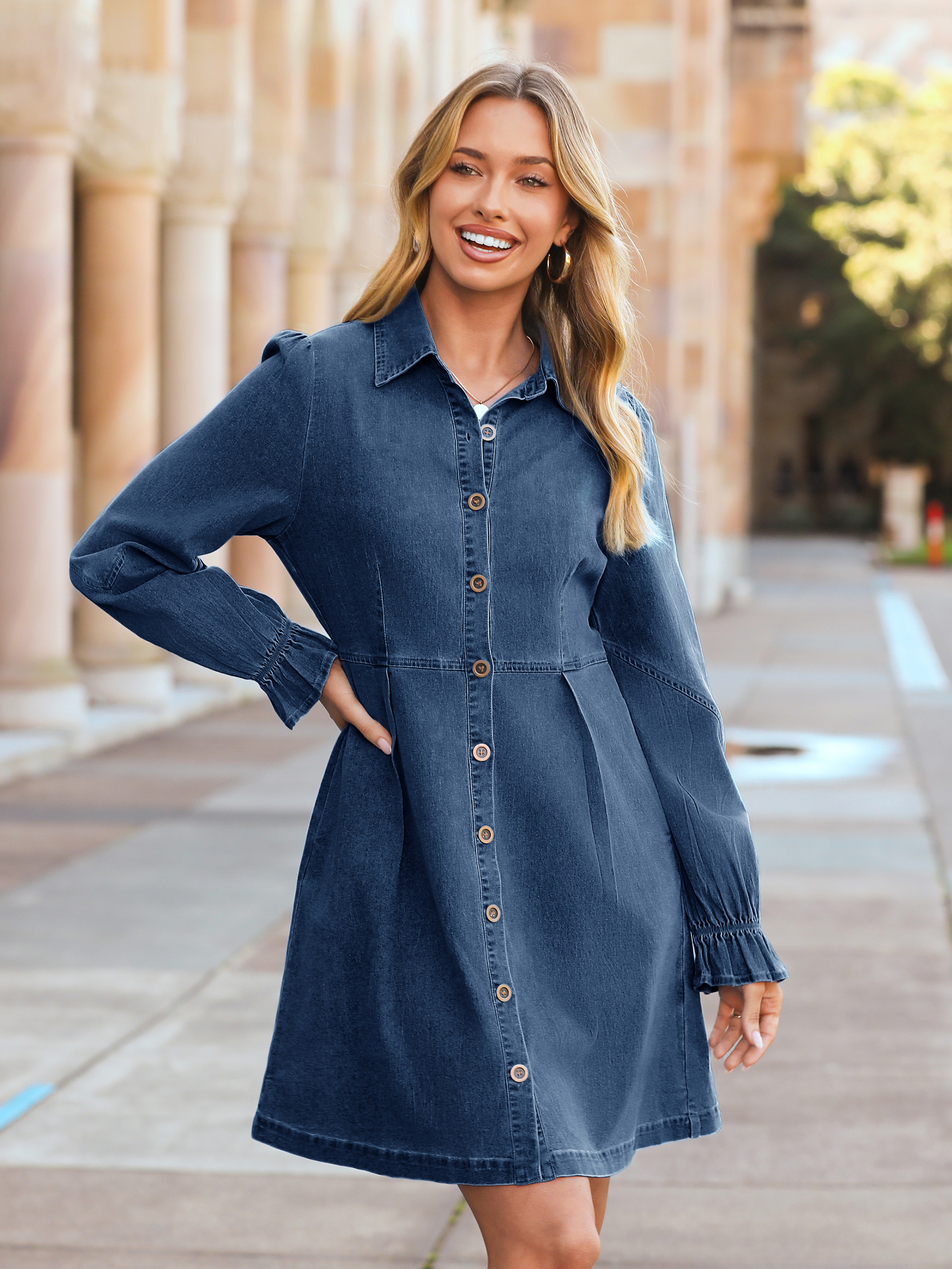 Chambray Lantern Sleeve Button Front Denim Mini Dress