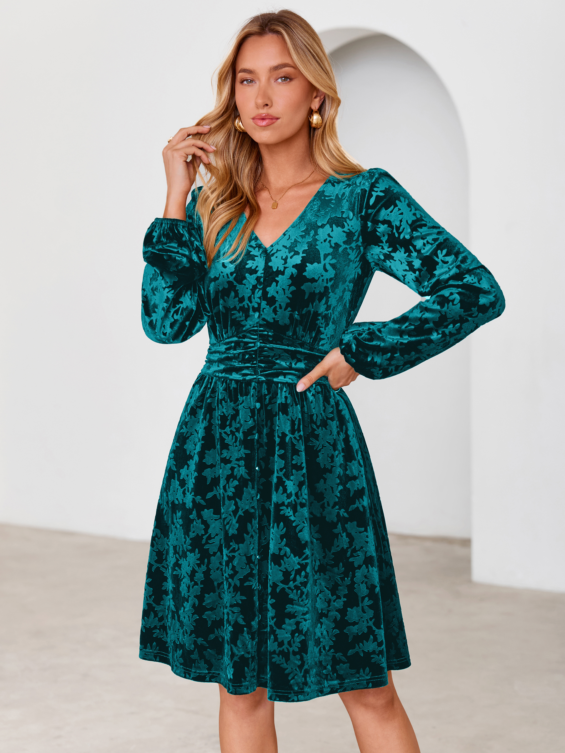Gorgeous Burnout Velvet Long Sleeve A-Line Mini Dress