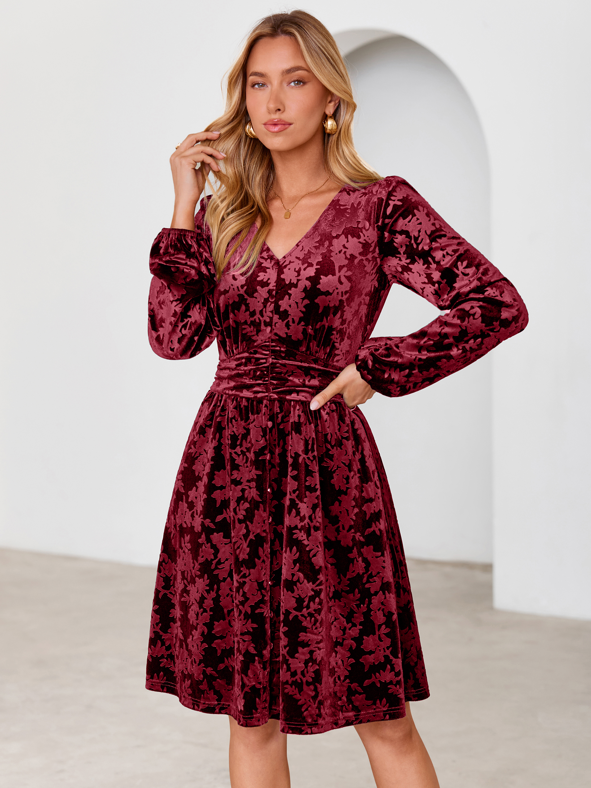 Gorgeous Burnout Velvet Long Sleeve A-Line Mini Dress