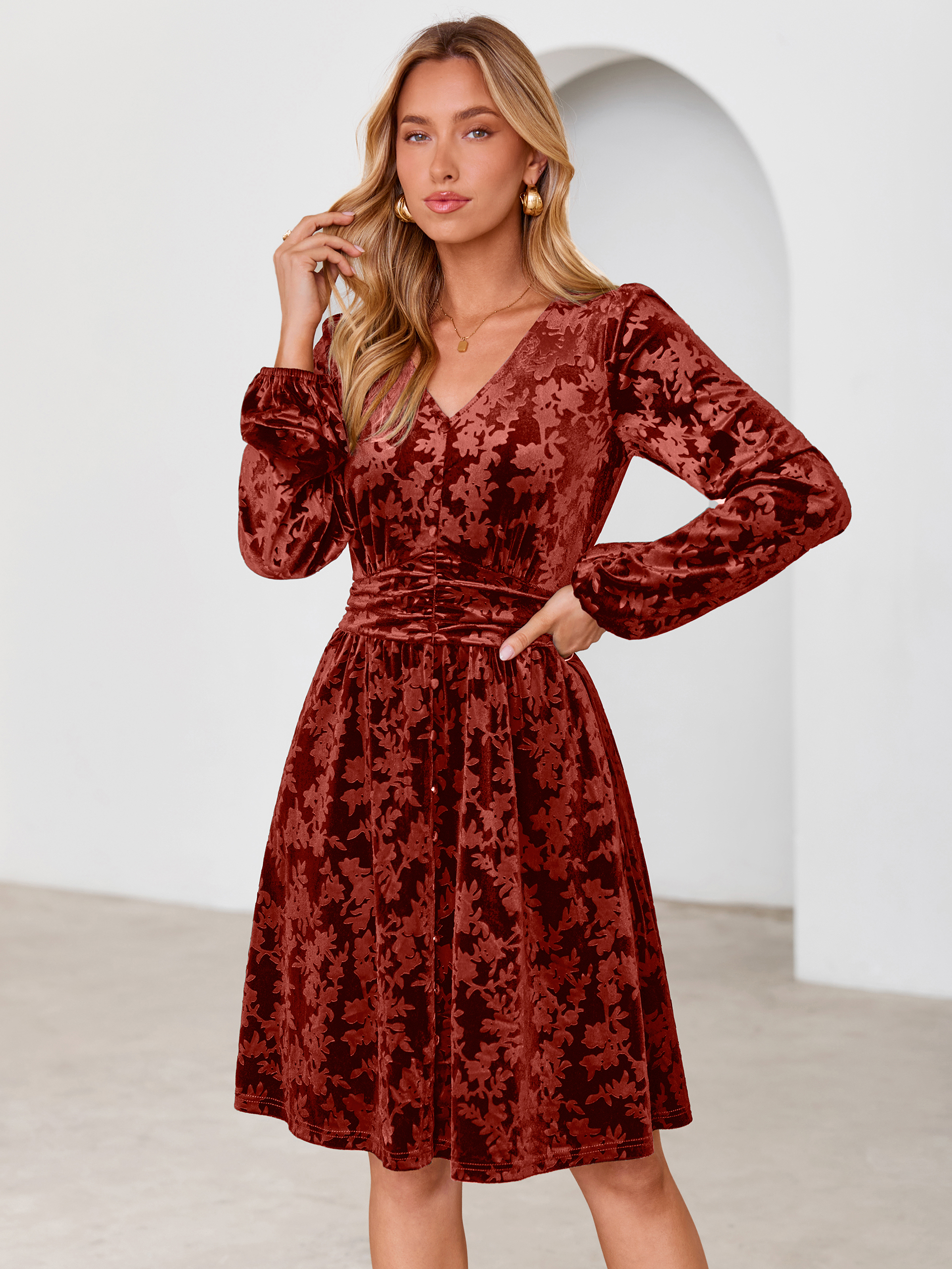 Gorgeous Burnout Velvet Long Sleeve A-Line Mini Dress
