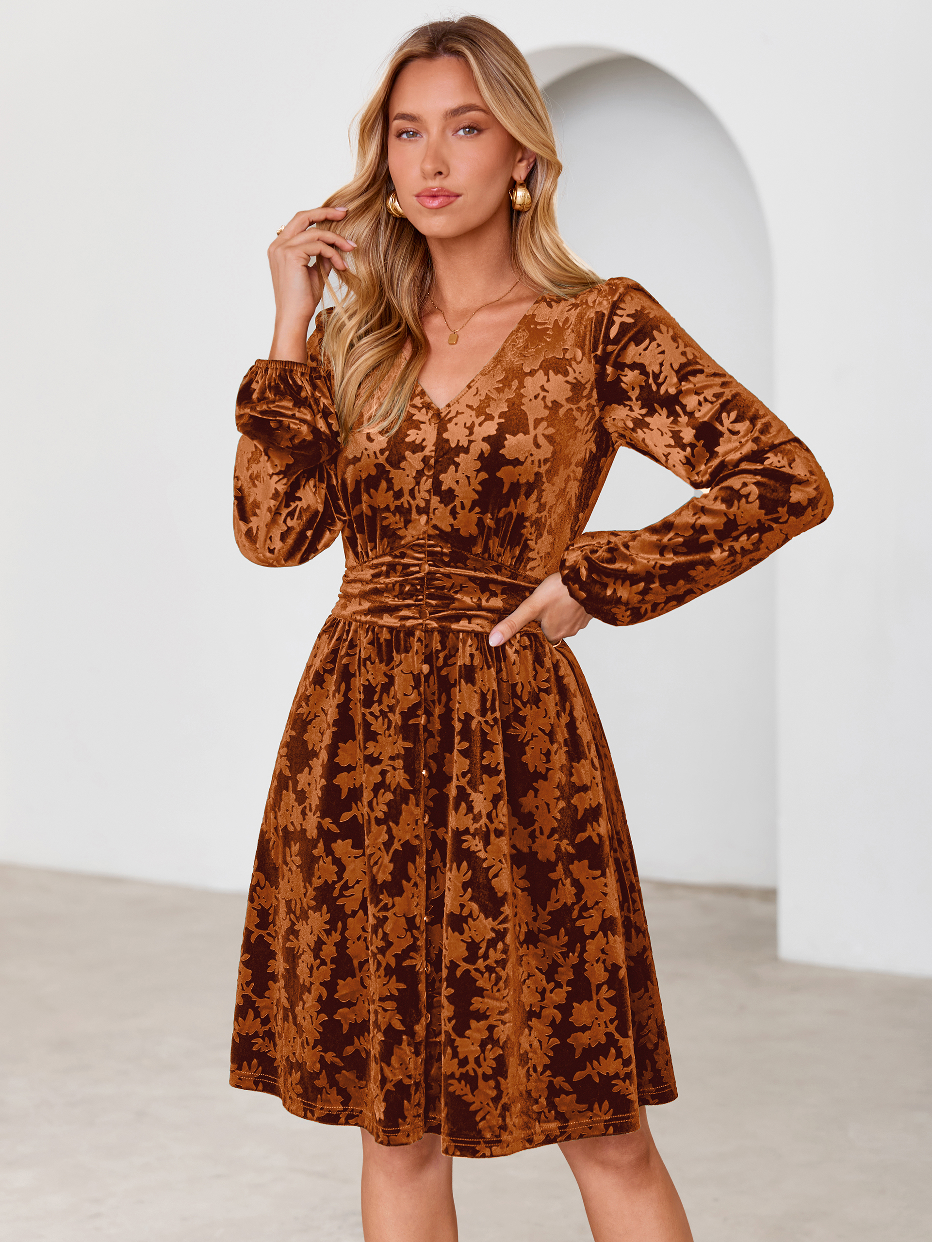 Gorgeous Burnout Velvet Long Sleeve A-Line Mini Dress