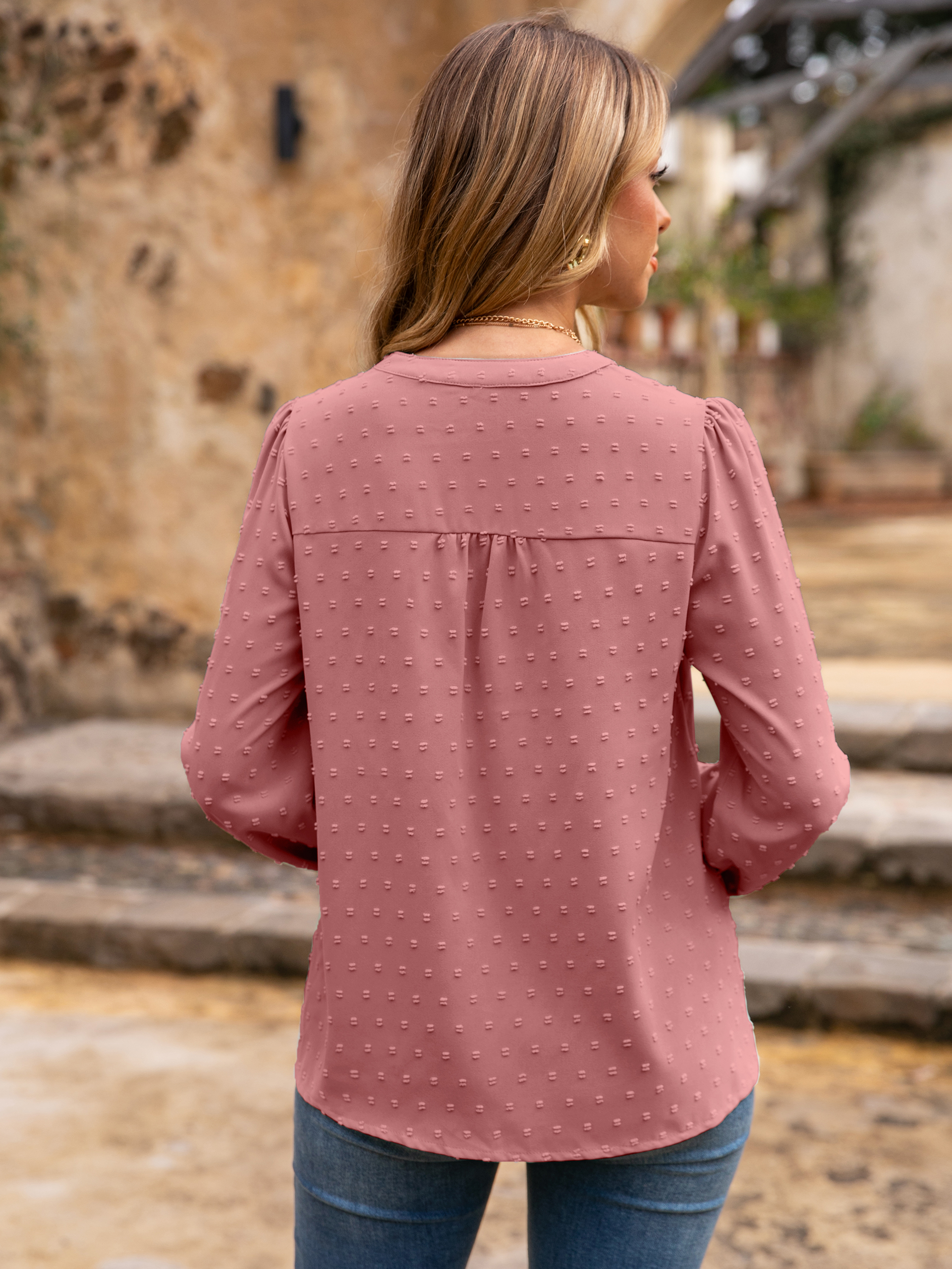 Lace Trim V Neck Swiss Dot Blouse