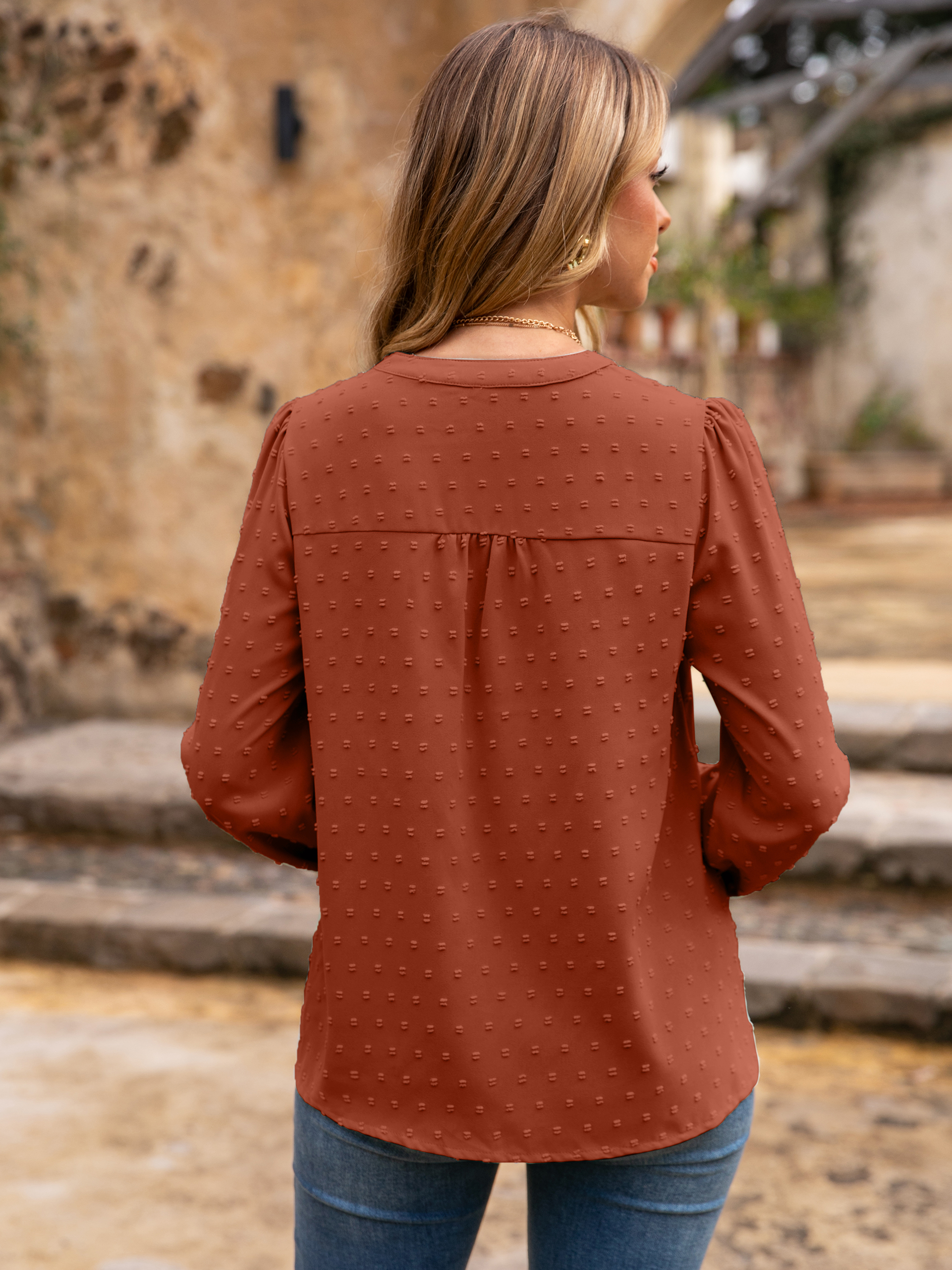 Lace Trim V Neck Swiss Dot Blouse