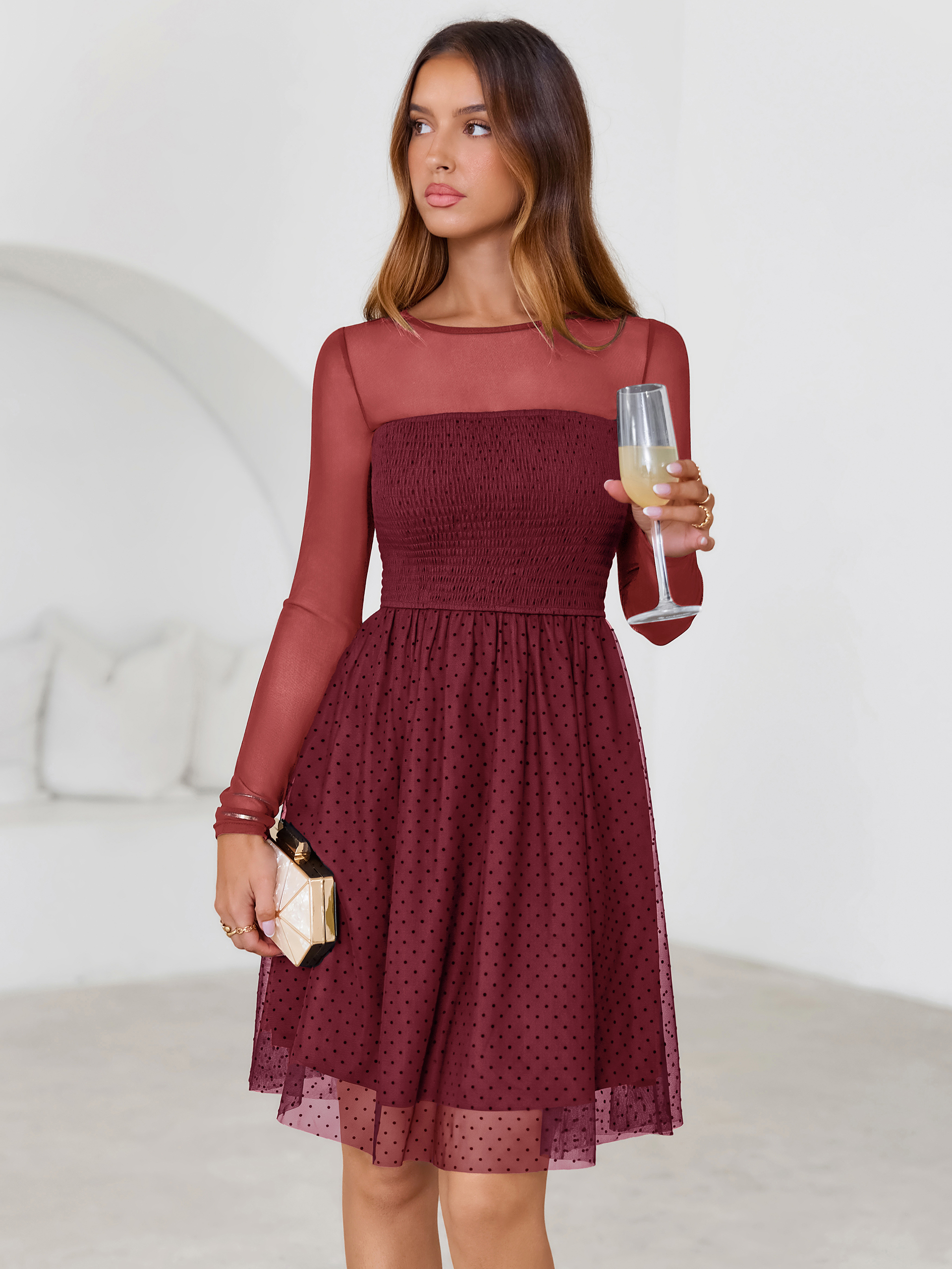 Long Sleeve Polka Dot Mesh Smocked Mini Dress