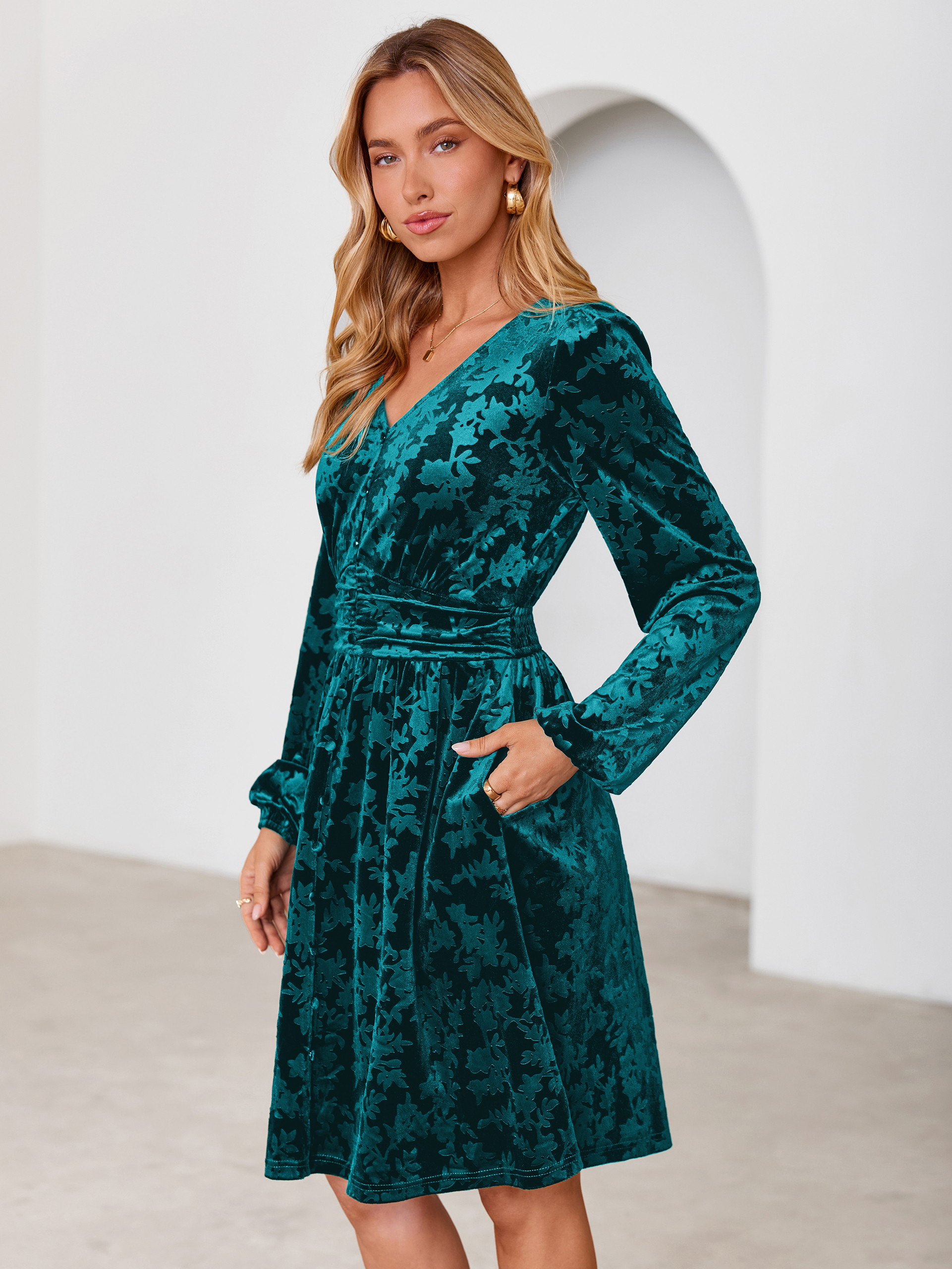 Gorgeous Burnout Velvet Long Sleeve A-Line Mini Dress