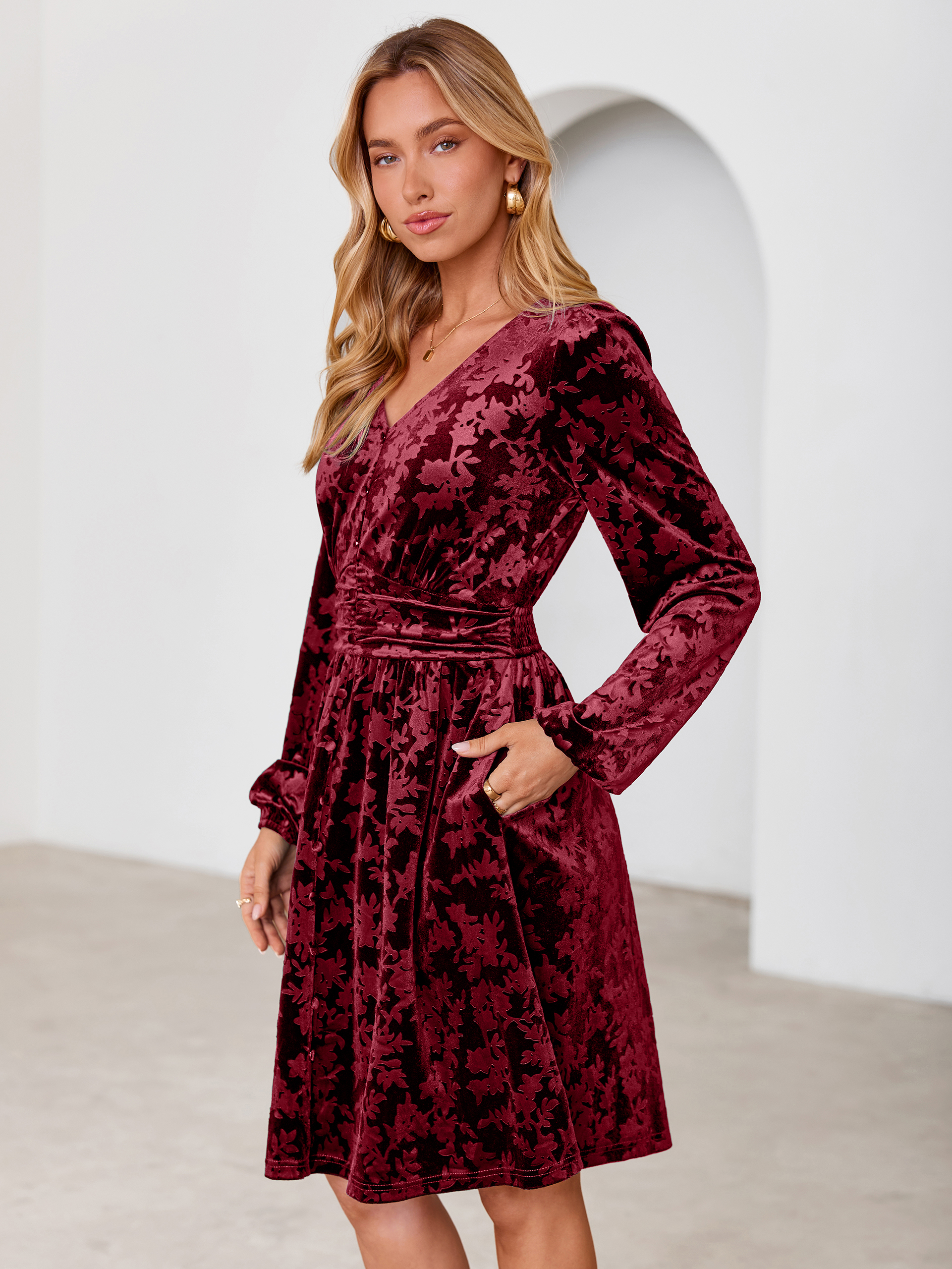 Gorgeous Burnout Velvet Long Sleeve A-Line Mini Dress