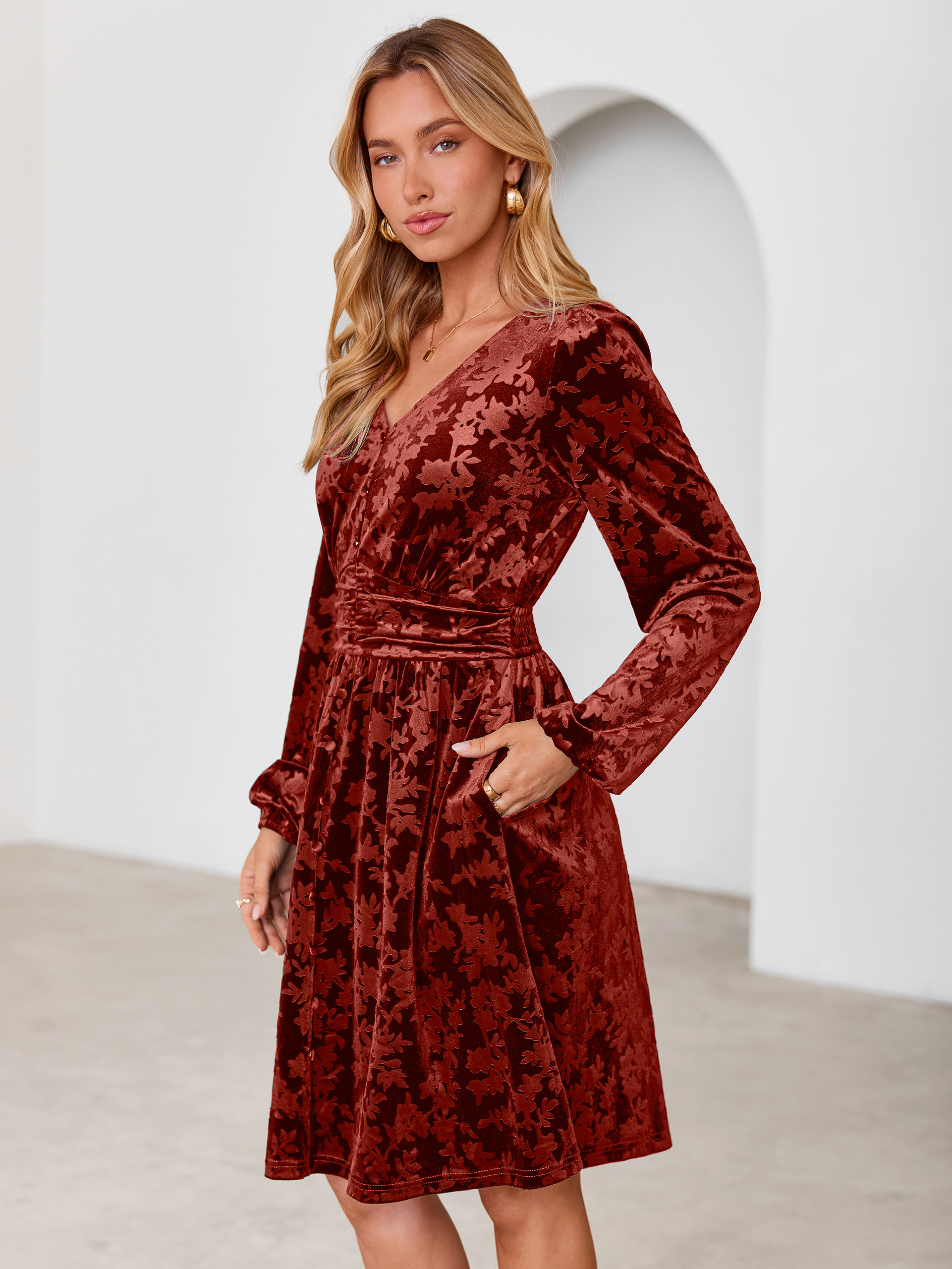 Gorgeous Burnout Velvet Long Sleeve A-Line Mini Dress