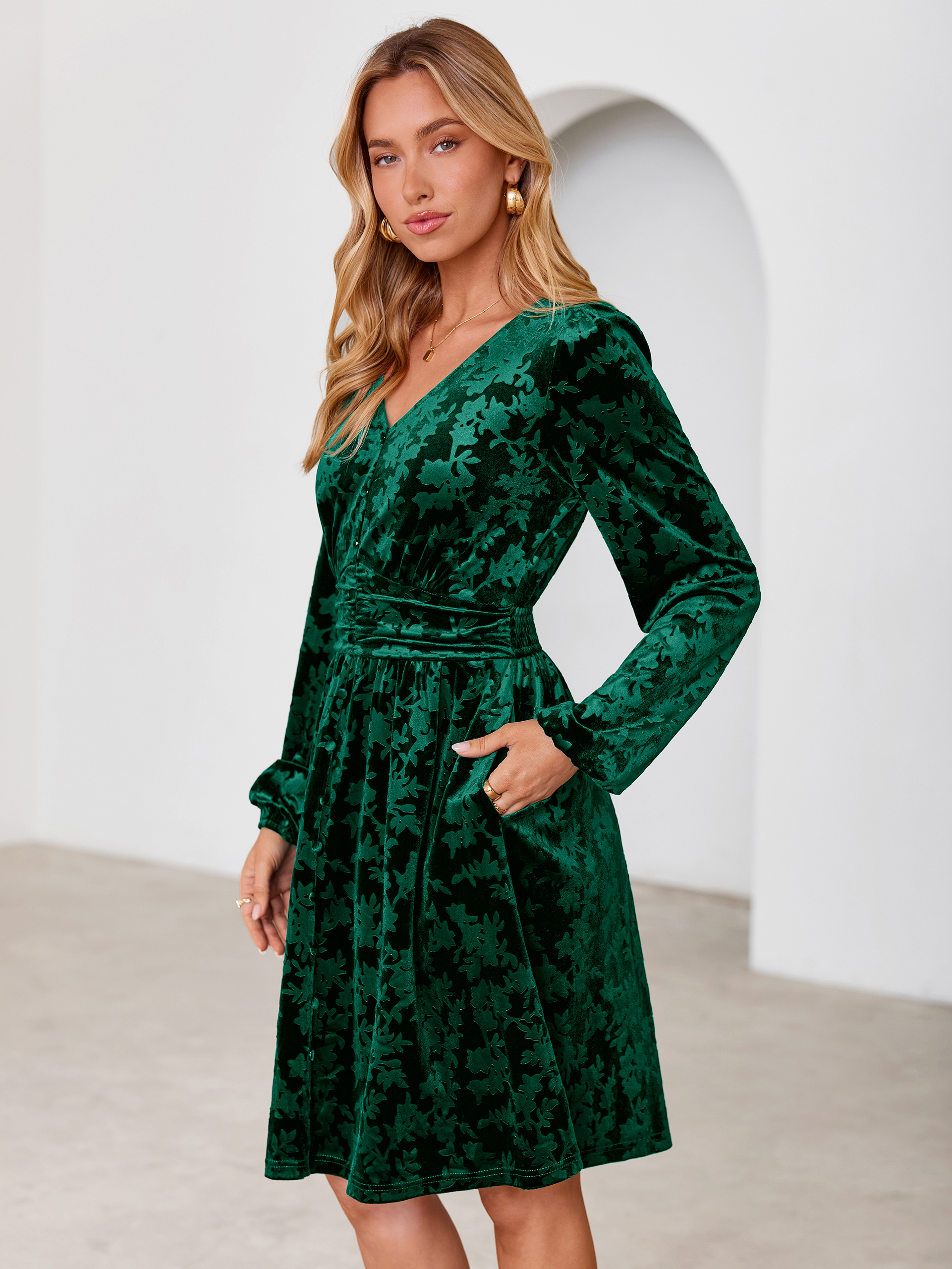 Gorgeous Burnout Velvet Long Sleeve A-Line Mini Dress