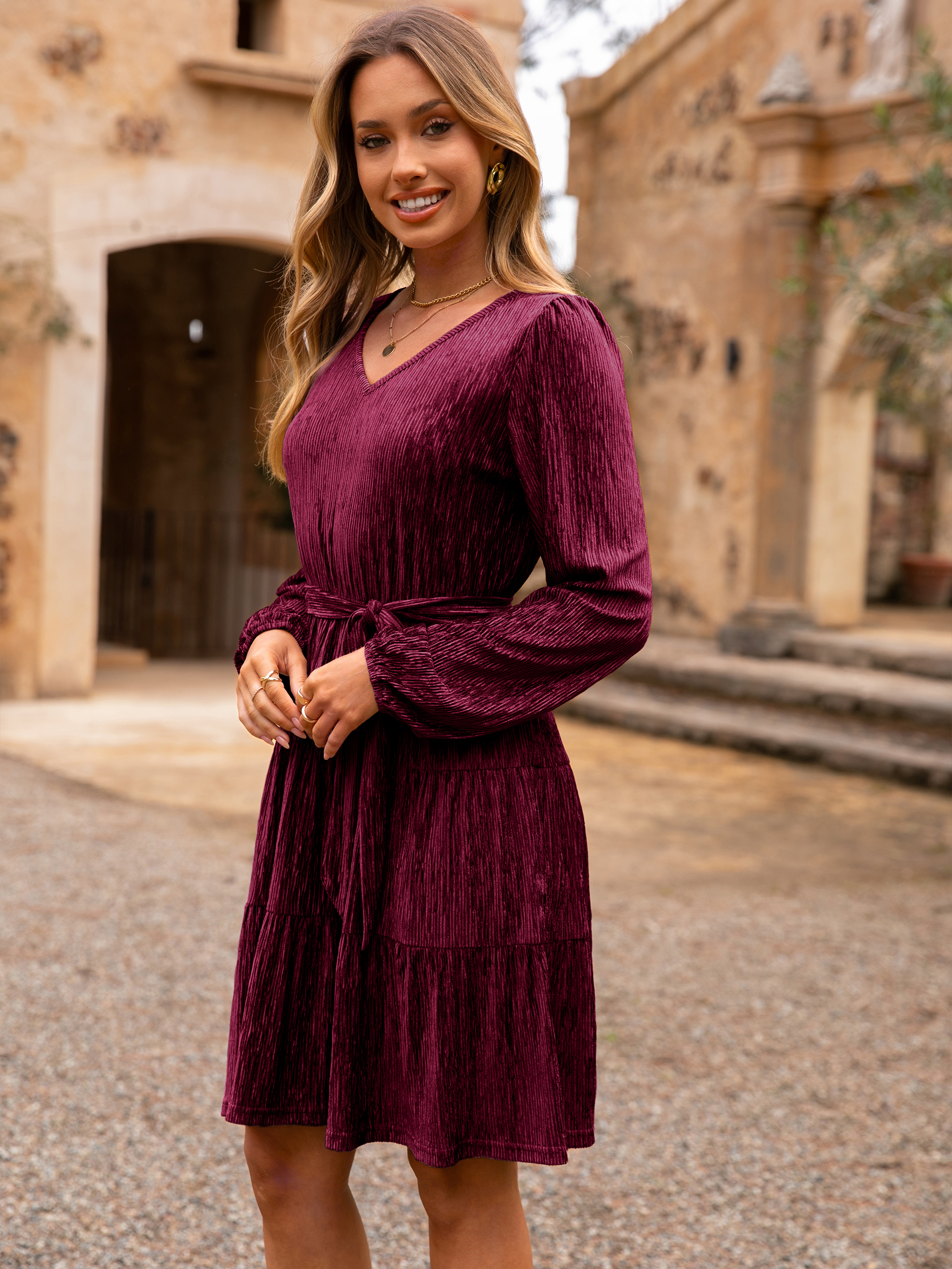 Velvet Long Sleeve V Neck Flowy Mini cocktail Dress