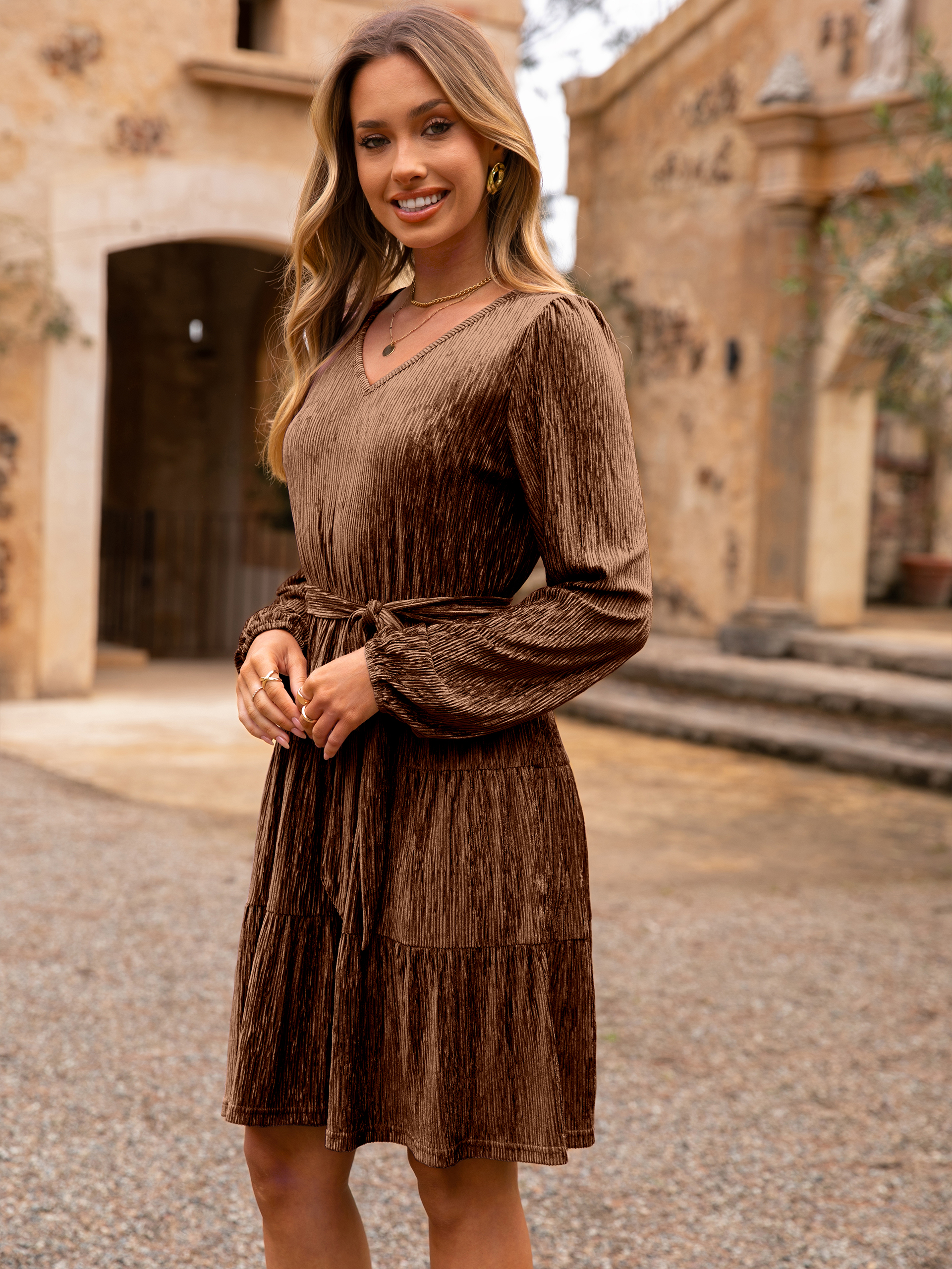 Velvet Long Sleeve V Neck Flowy Mini cocktail Dress