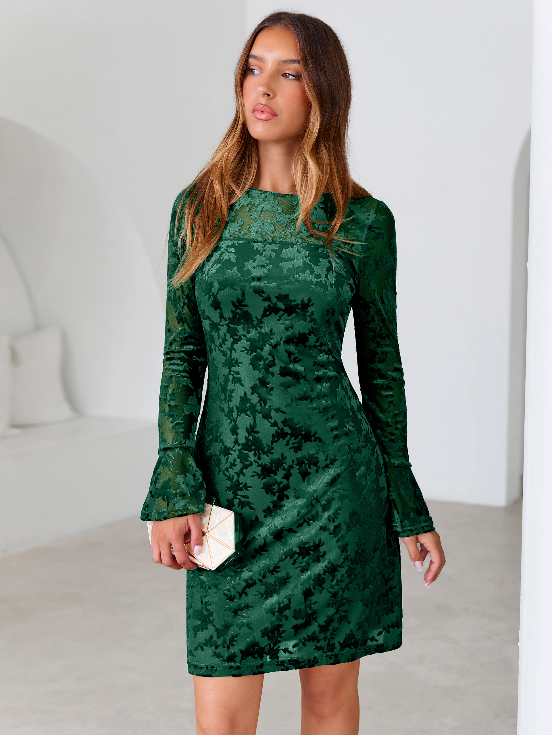 Floral Burnout Velvet Flare Sleeve Sheath Mini Dress