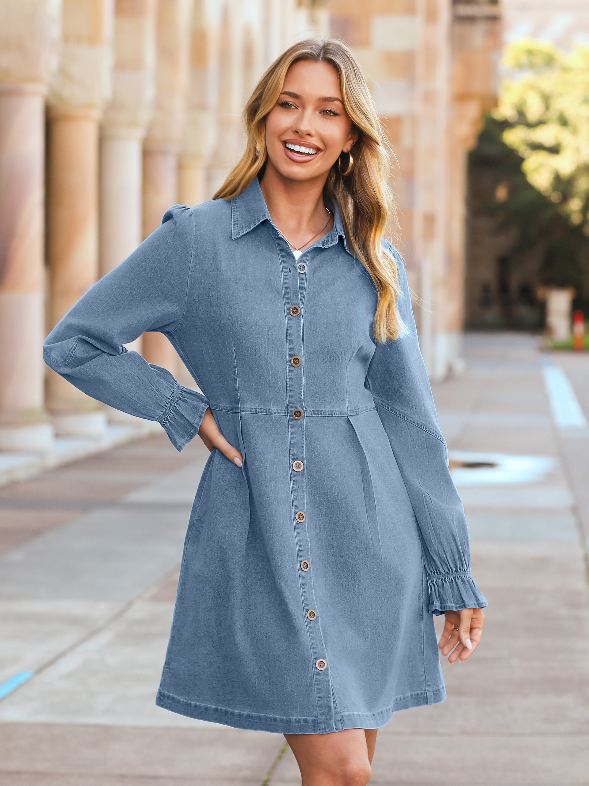 Chambray Lantern Sleeve Button Front Denim Mini Dress