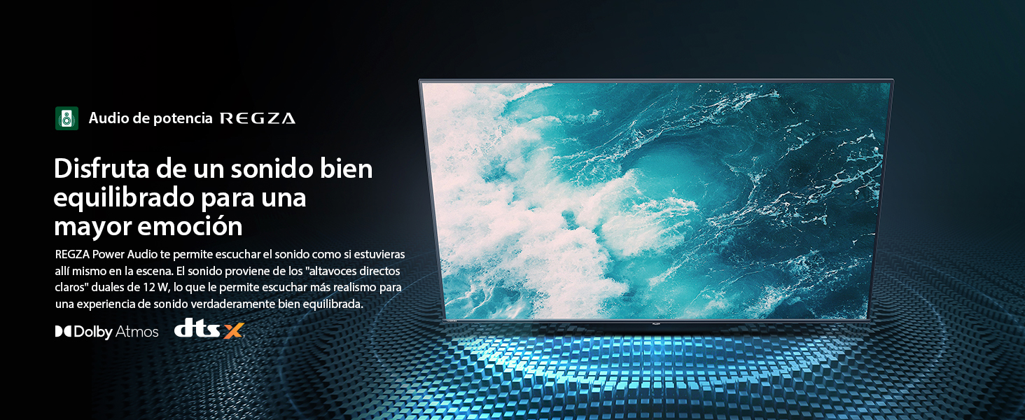 Audio de potencia REGZA