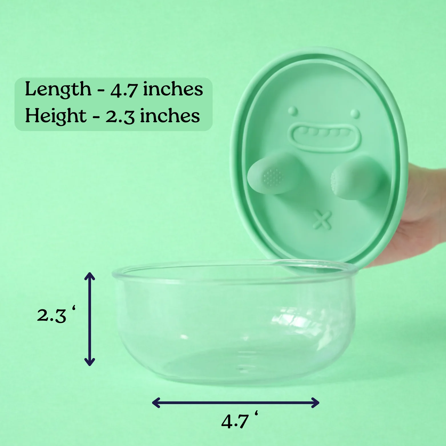 Your Snack Companion