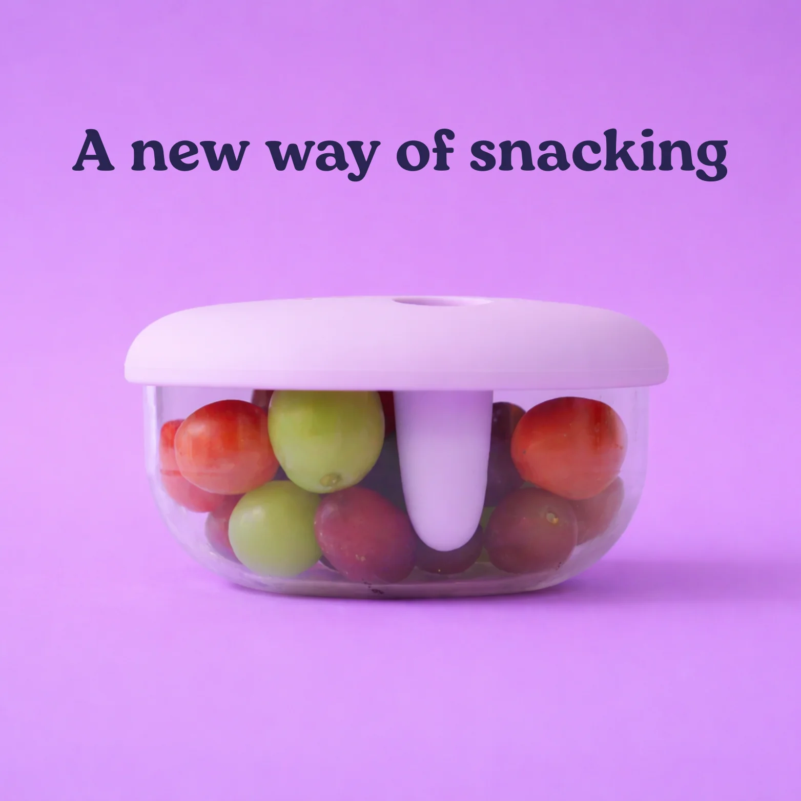 Your Snack Companion