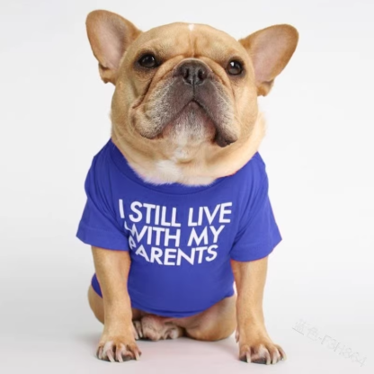 Foshion designer French Bulldog pet clothes and t-shirts