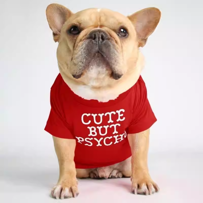 Foshion designer French Bulldog pet clothes and t-shirts
