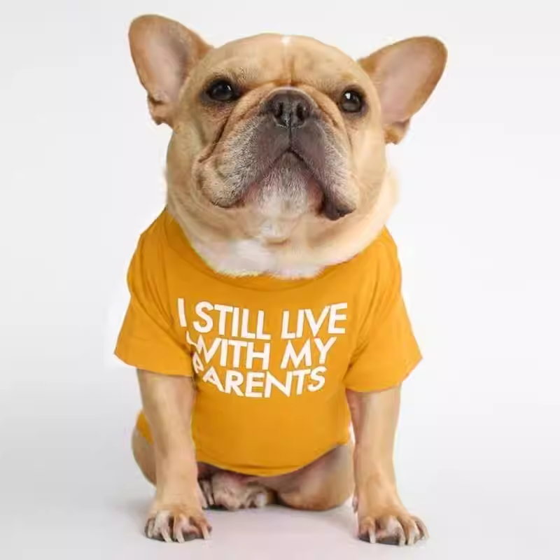 Foshion designer French Bulldog pet clothes and t-shirts