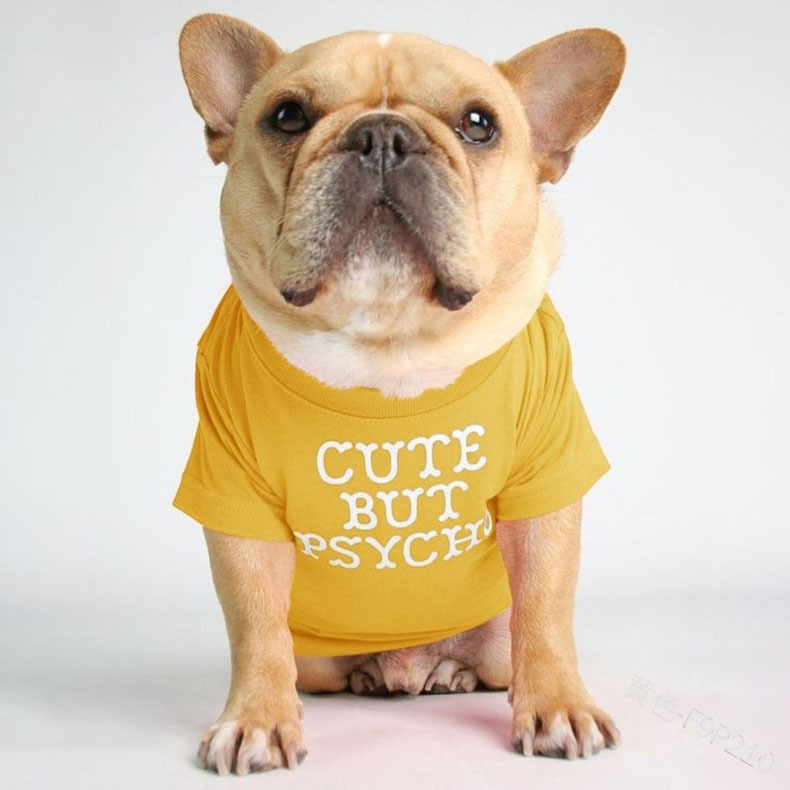 Foshion designer French Bulldog pet clothes and t-shirts