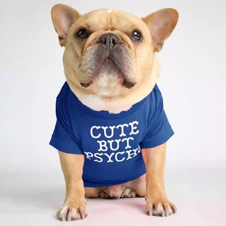Foshion designer French Bulldog pet clothes and t-shirts