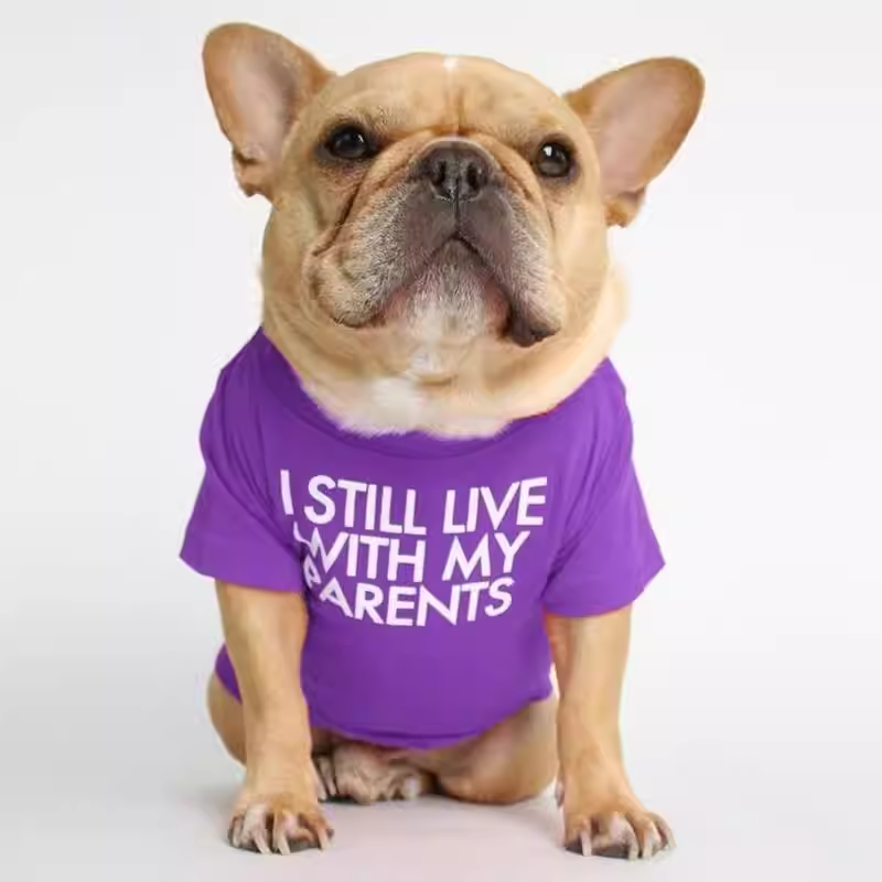 Foshion designer French Bulldog pet clothes and t-shirts