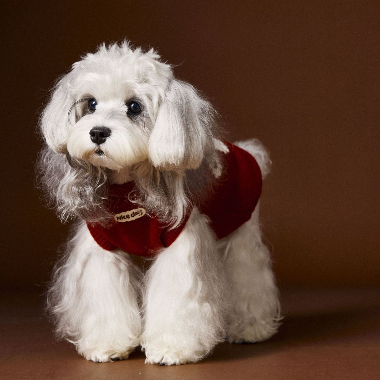 New autumn/winter sleeveless warm sweater vest for pet dogs